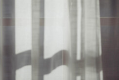 Soldanella_0032-HDR (11) Soldanella_0032-HDR (11)