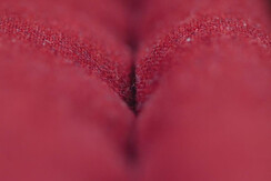 Soldanella_0032-HDR (14) Soldanella_0032-HDR (14)