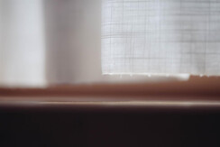 Soldanella_0032-HDR (15) Soldanella_0032-HDR (15)