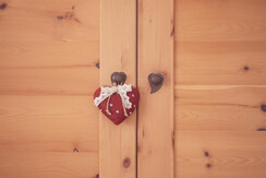 Soldanella_0032-HDR (17) Soldanella_0032-HDR (17)