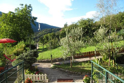 nardelli tiziano - giardino/2 nardelli tiziano - giardino/2