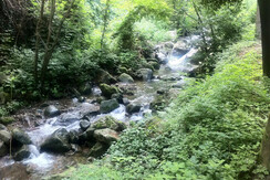 natura selvaggia Trentino hotel Miralago natura selvaggia Trentino hotel Miralago