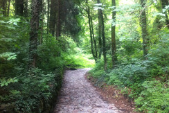 passeggiate trekking Hotel Miralago Valsugana passeggiate trekking Hotel Miralago Valsugana