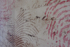 Particolare della carta da parati