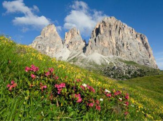 Offerta_Primavera