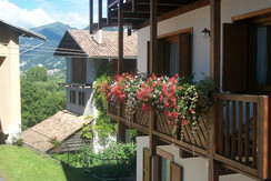 sansoni ornella - esterno