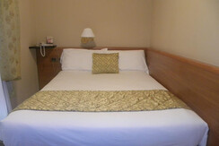 CAMERA QUEEN CAMERA QUEEN