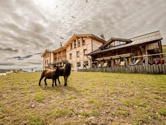 Rifugio Sasso Piatto - Campitello di Fassa - Val di Fassa