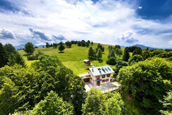 DJI_0047_cut DJI_0047_cut