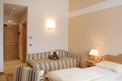 IMG_7537-1 IMG_7537-1