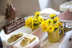 bagno agritur solasna bagno agritur solasna