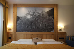 Particolare Camera Superior