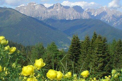 panorama dal passo broccon panorama dal passo broccon