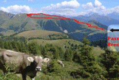 Trododeifiori Passo Broccon Trododeifiori Passo Broccon