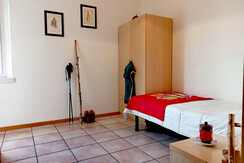 Singola_StellaAlpina