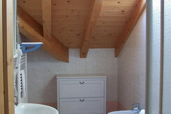 Stella alpina  073 Stella alpina  073