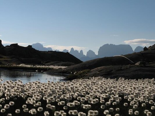 PAESAGGIO