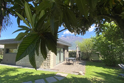 ERIOBOTRYA JAPONICA ERIOBOTRYA JAPONICA