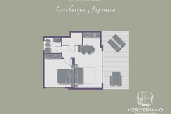 Piantina Apt.#1 | Dependance eriobotrya japonica Piantina Apt.#1 | Dependance eriobotrya japonica