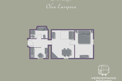 Piantina Apt.#2 | Alloggio Olea Europea Piantina Apt.#2 | Alloggio Olea Europea