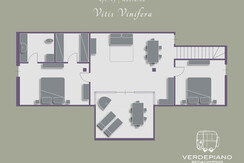 Piantina Apt.#5 | Mansarda Vitis Vinifera Piantina Apt.#5 | Mansarda Vitis Vinifera