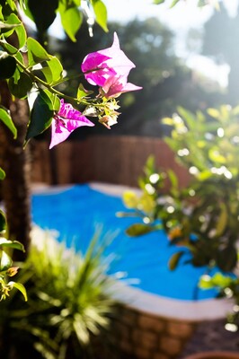 VILLA FIORE - The pool