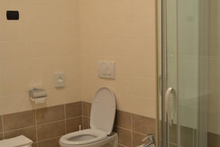 prezzemolo05 prezzemolo05