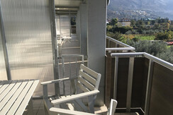 OriganoPlus (11) OriganoPlus (11)