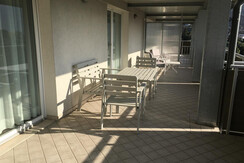 OriganoPlus (12) OriganoPlus (12)