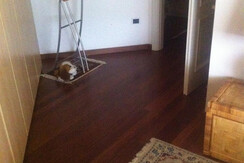 stanza galleria 5 stanza galleria 5