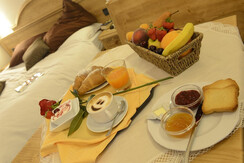 fototonina (91) fototonina (91)