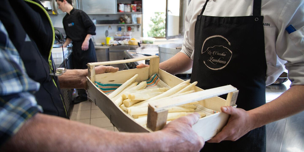 Asparagus from the ground to the table