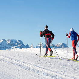 Sci di fondo Viote - R.Merler