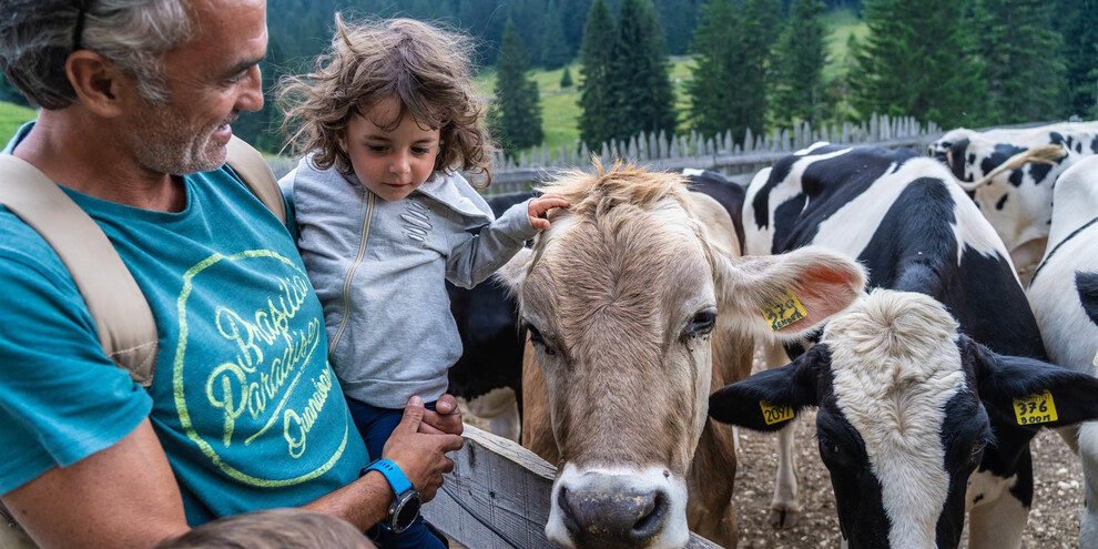 Zonta Melegna Farmstead