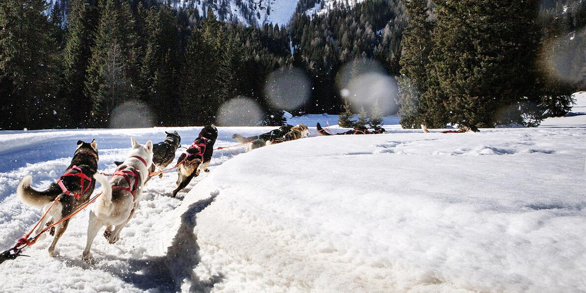 Снежные развлечения на любой вкус