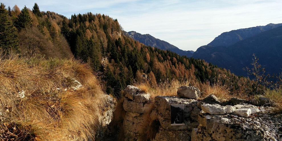 Trentino - foliage