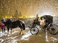 Habsburg Carnival