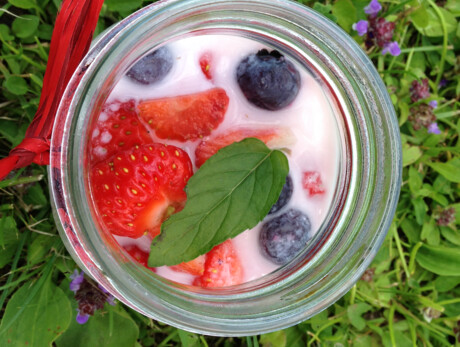 #ALBEINMALGA for Family - Malga Fossetta