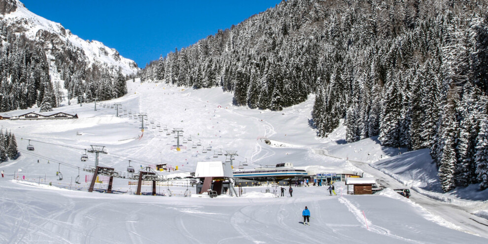 Malga Ces: vista sulle Pale di San Martino