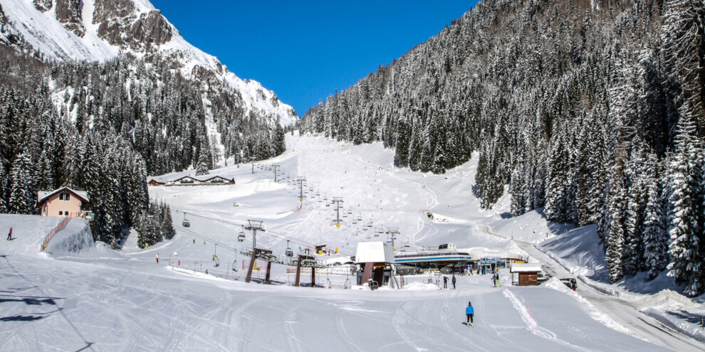 Malga Ces: in Aussichtslage auf die Pale di San Martino