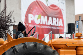 Pomaria