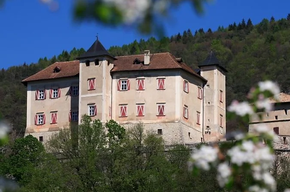  Tasting in the castle 