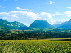 ARTEAPEDALI, Bike Tour