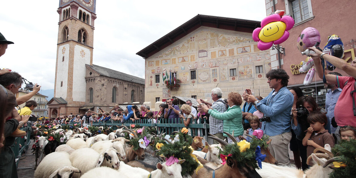 Rituál shánění stád z letních pastvin do údolí