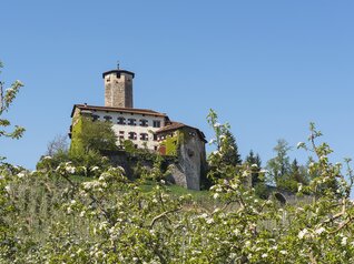 Arte e Cultura in Trentino - Val di Non | © Castel-Valer-Apt-Val-di-Non