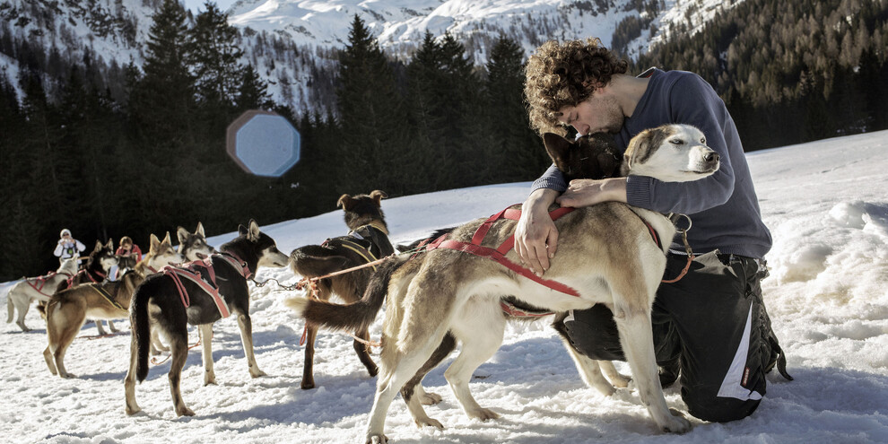 Dog Sledding in Campiglio