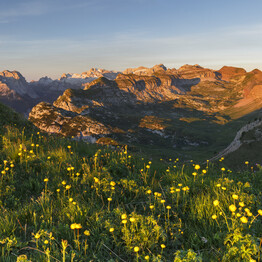 Frühlings-Detox im Trentino: Entschleunigung beim Wandern durch duftende Blumenlandschaften 