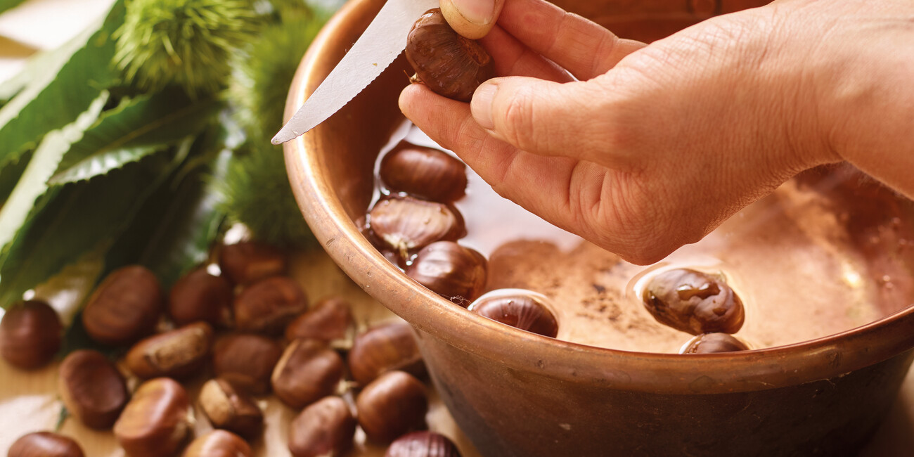 Harvesting, processing, and preserving: all with your own hands THE BEST OF TRENTINO… MADE BY ME #8