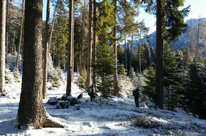 SUCCESSO DI ASCOLTI PER MELAVERDE IN TRENTINO