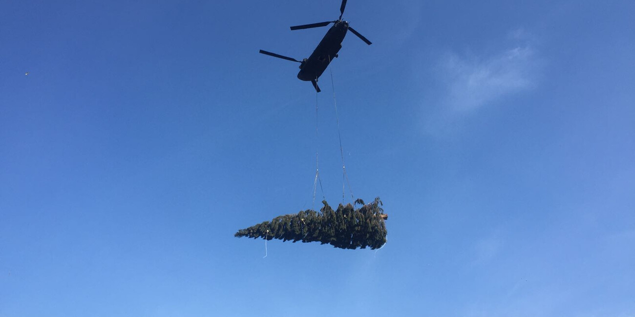 L'albero di Natale per il papa arriva dalla Valsugana #2